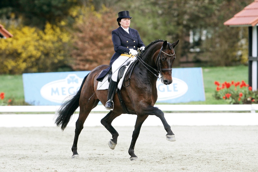 ProPlay for Equestrian uses | Comfort & Safety for Horse & Rider